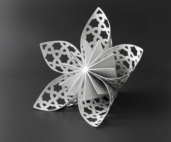 Petali di stelle