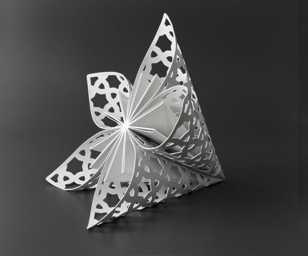 Petali di stelle