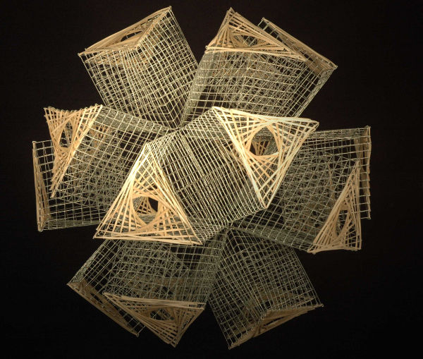 Petali di stelle