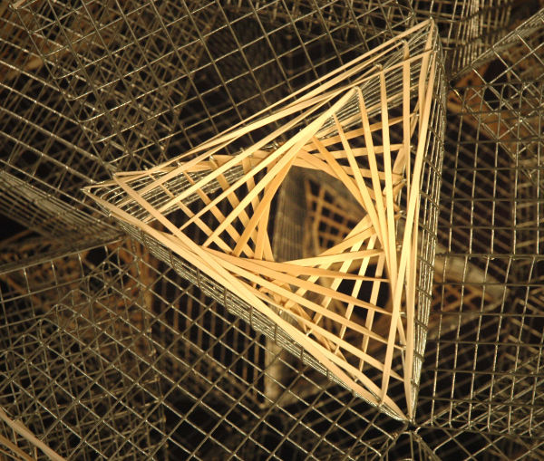 Petali di stelle